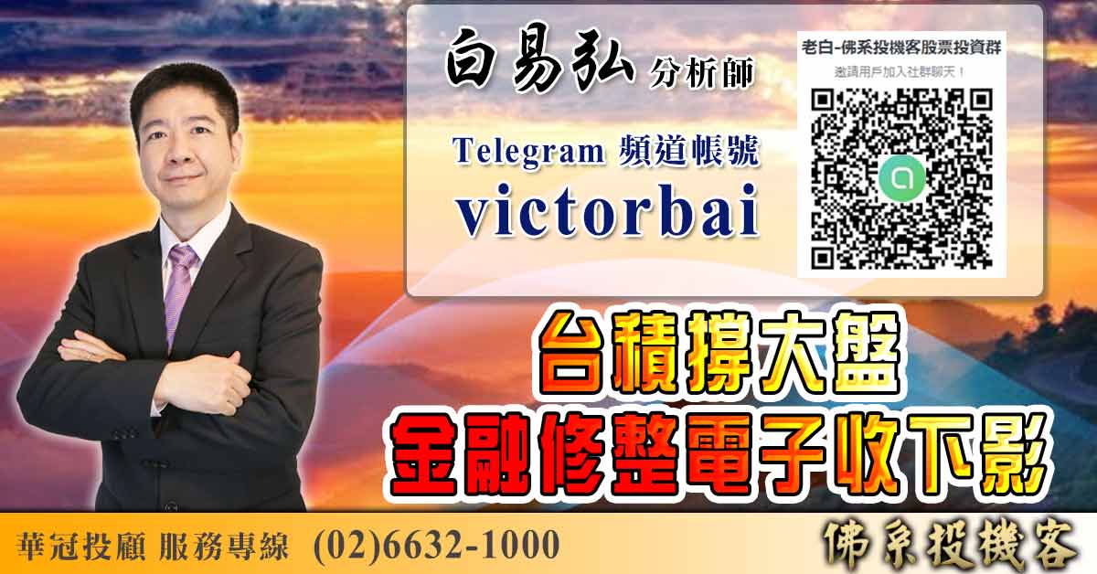 台積撐大盤 金融修整電子收下影 (圖)
