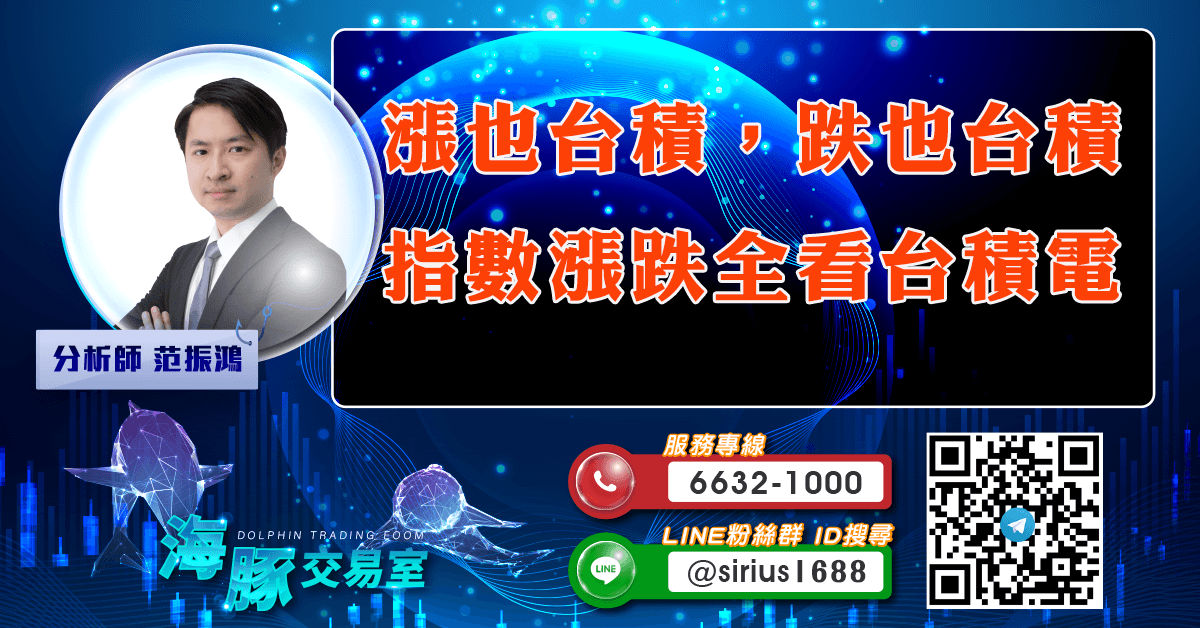 漲也台積，跌也台積 指數漲跌全看台積電 (圖)