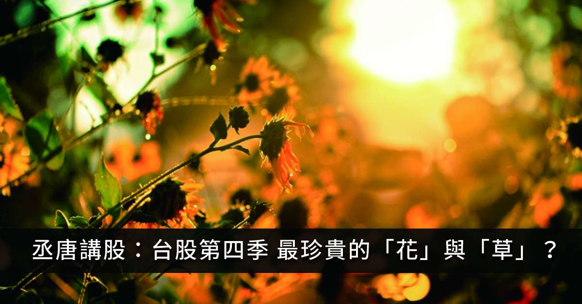 丞唐講股：台股第四季 最珍貴的「花」與「草」？
