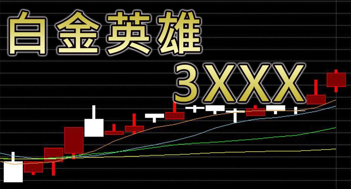 &quot;白金英雄(3xxx)&quot; – 低本益比網通概念股