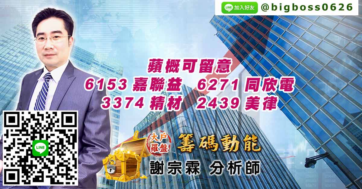 蘋概可留意 6153嘉聯益、6271同欣電、3374精材、2439美律