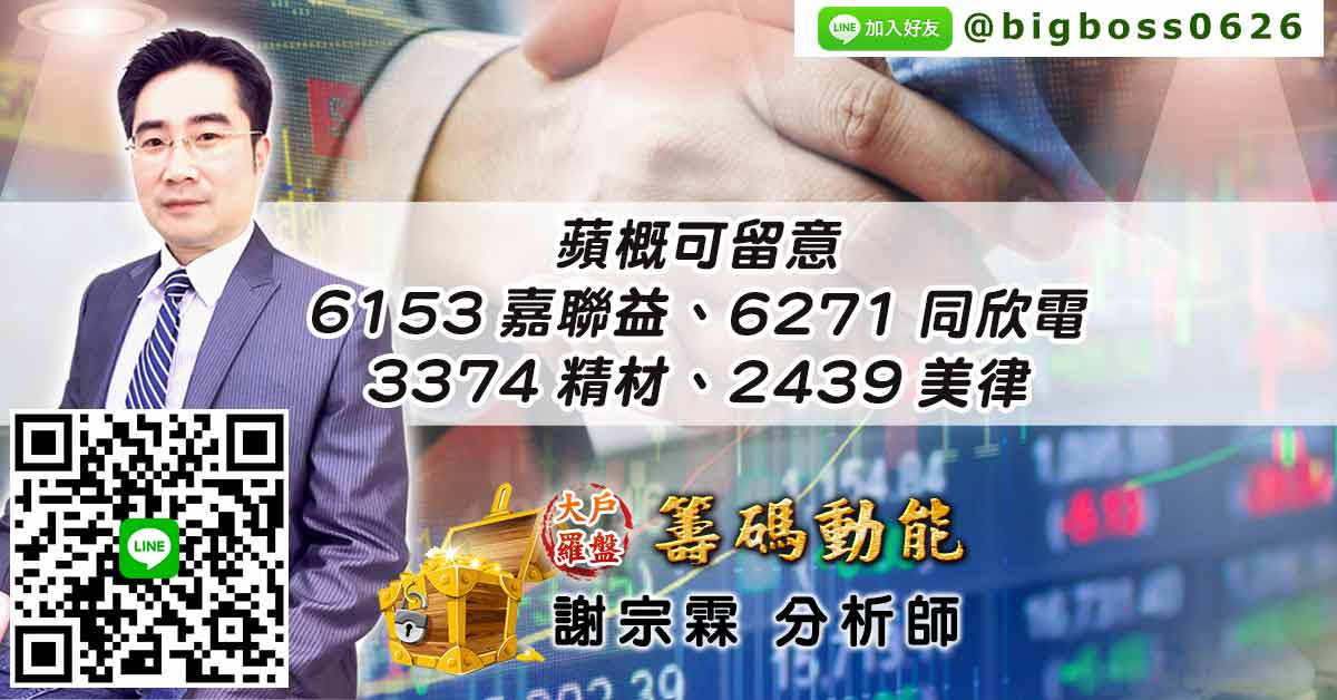 蘋概可留意 6153嘉聯益、6271同欣電、3374精材、2439美律