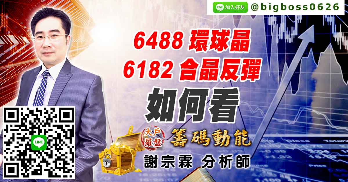 6488環球晶、6182合晶反彈 如何看