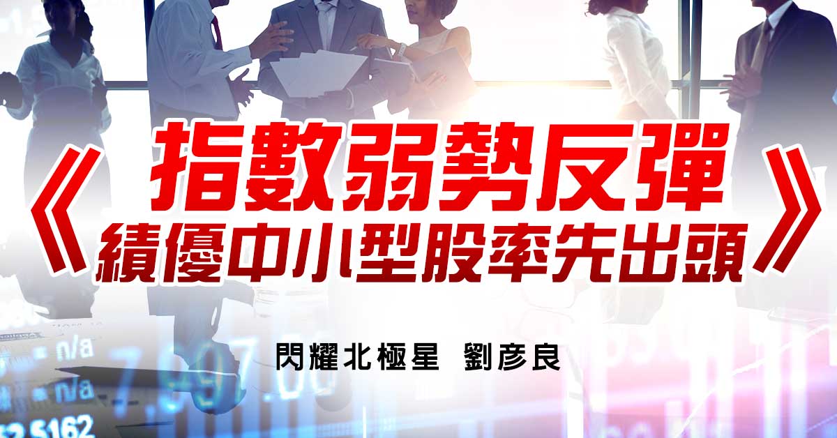 指數弱勢反彈 績優中小型股率先出頭