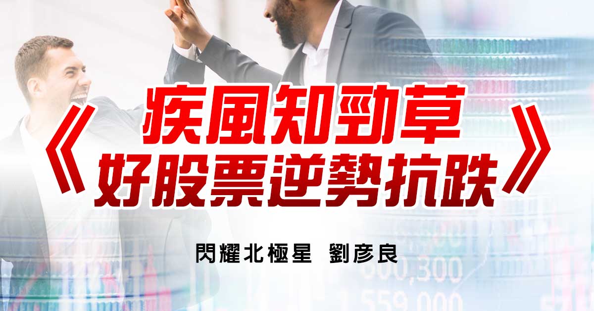 疾風知勁草 好股票逆勢抗跌