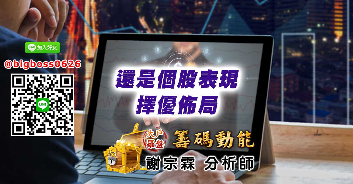 還是個股表現 擇優佈局
