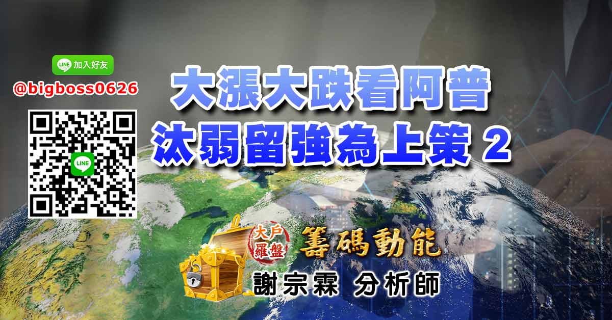 大漲大跌看阿普 汰弱留強為上策2