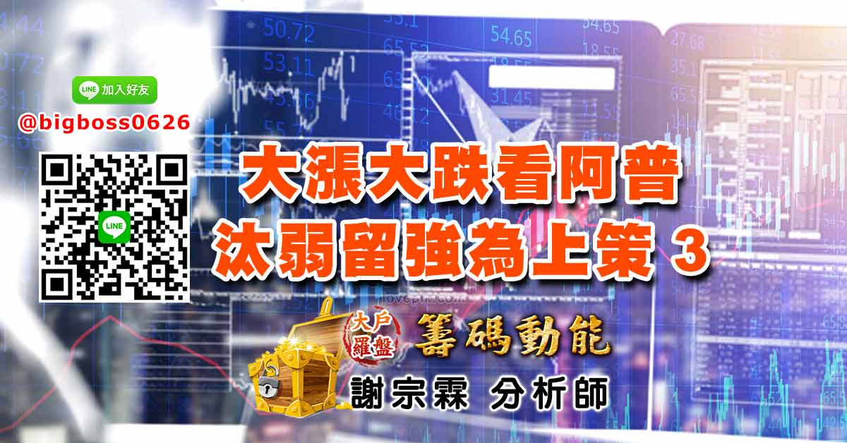 大漲大跌看阿普 汰弱留強為上策3