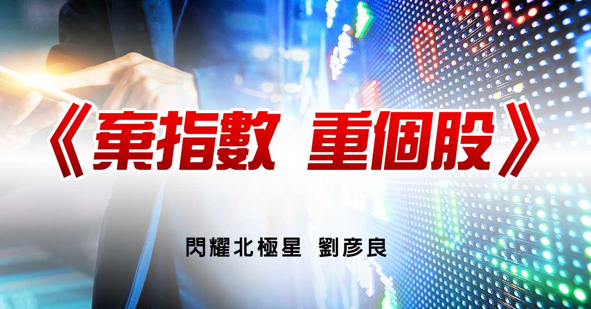 棄指數 重個股