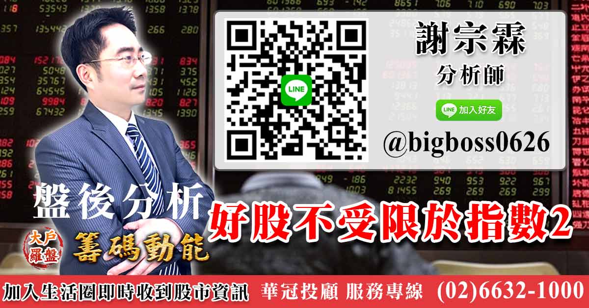 好股不受限於指數2 (圖)