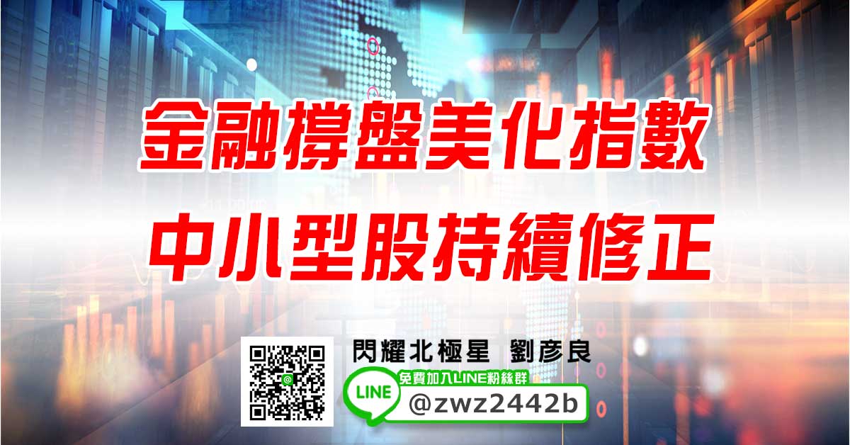金融撐盤美化指數 中小型股持續修正