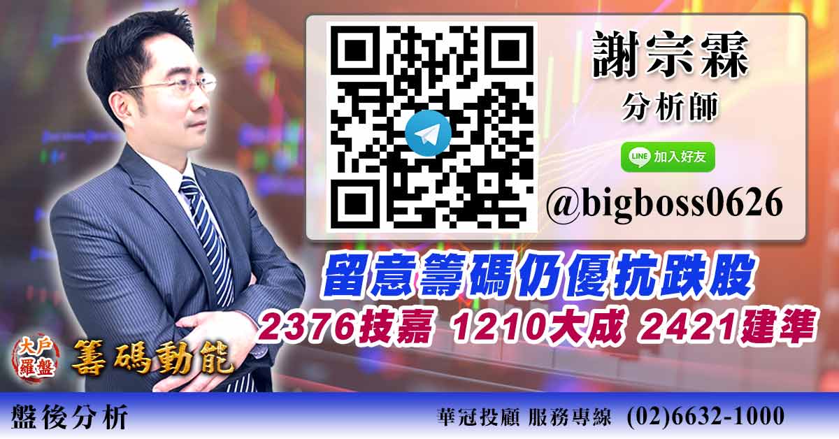 留意籌碼仍優抗跌股 2376技嘉 1210大成 2421建準 (圖)