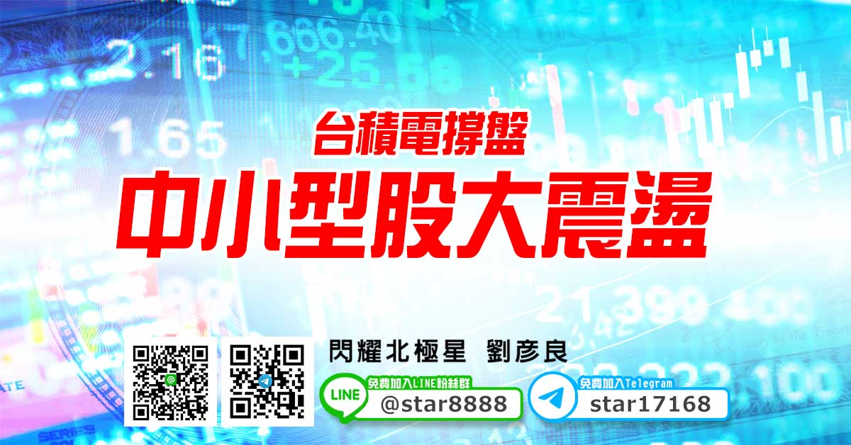 台積電撐盤，中小型股大震盪