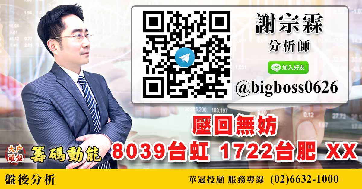 壓回無妨 8039台虹 1722台肥 xx (圖)