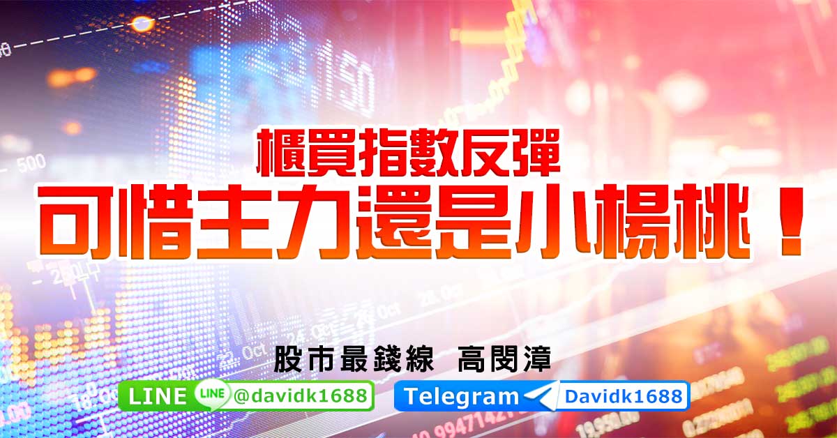 櫃買指數反彈，可惜主力還是小楊桃！