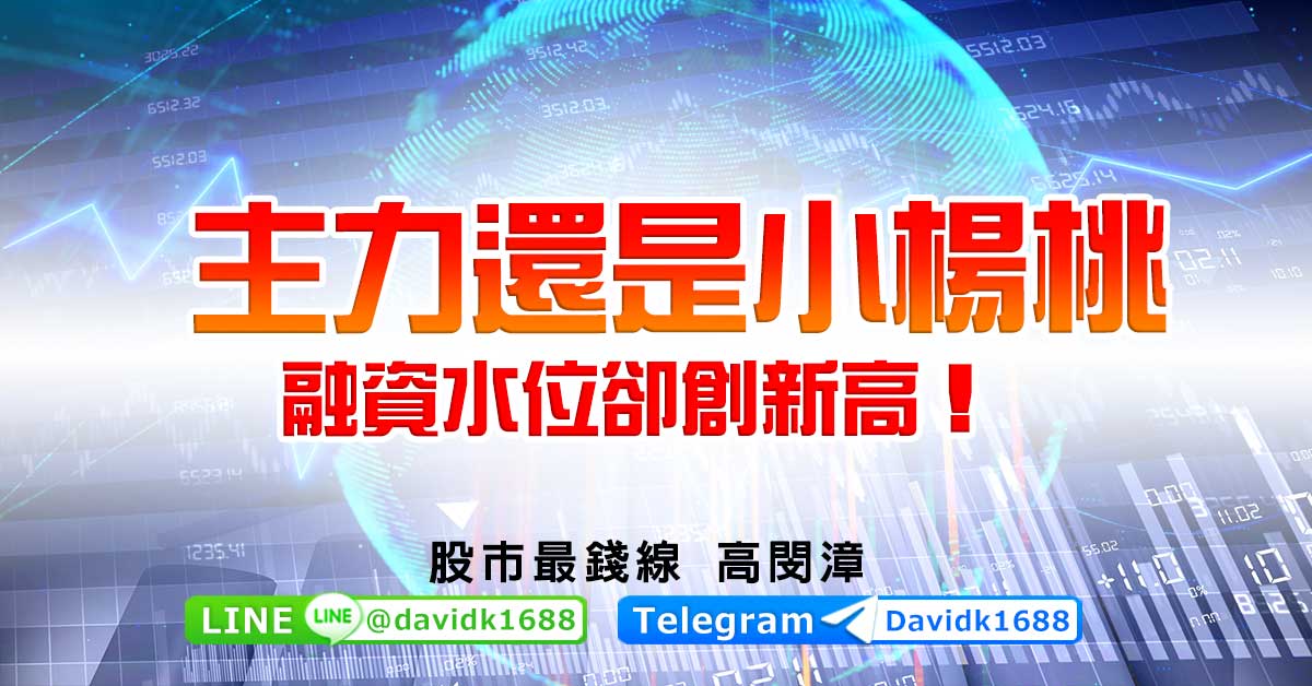 主力還是小楊桃，融資水位卻創新高！