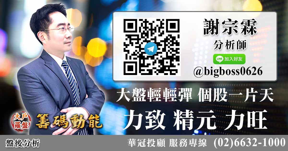 大盤輕輕彈 個股一片天 力致 精元 力旺 (圖)
