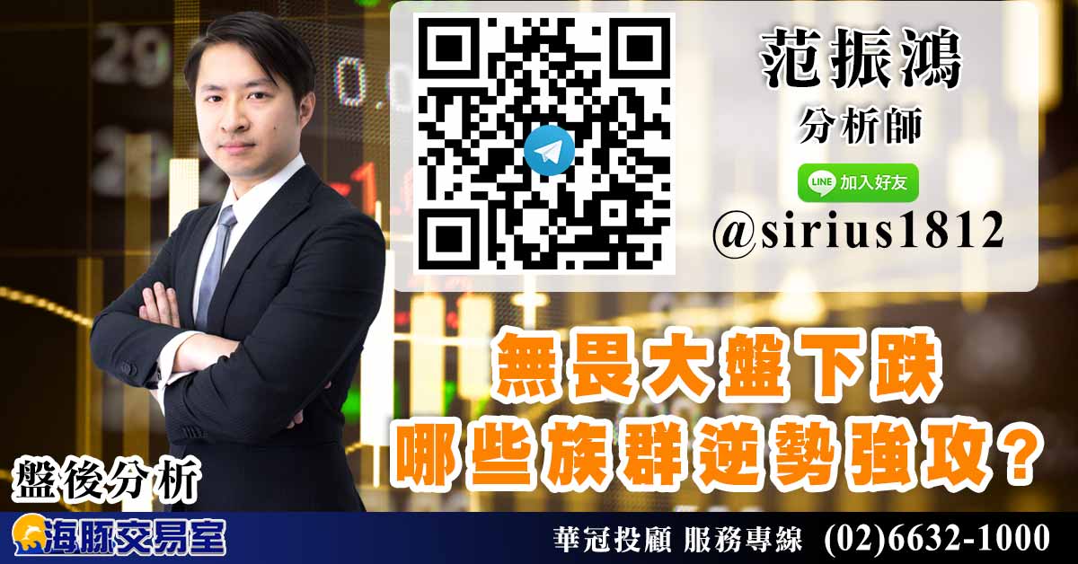 無畏大盤下跌 哪些族群逆勢強攻? (圖)