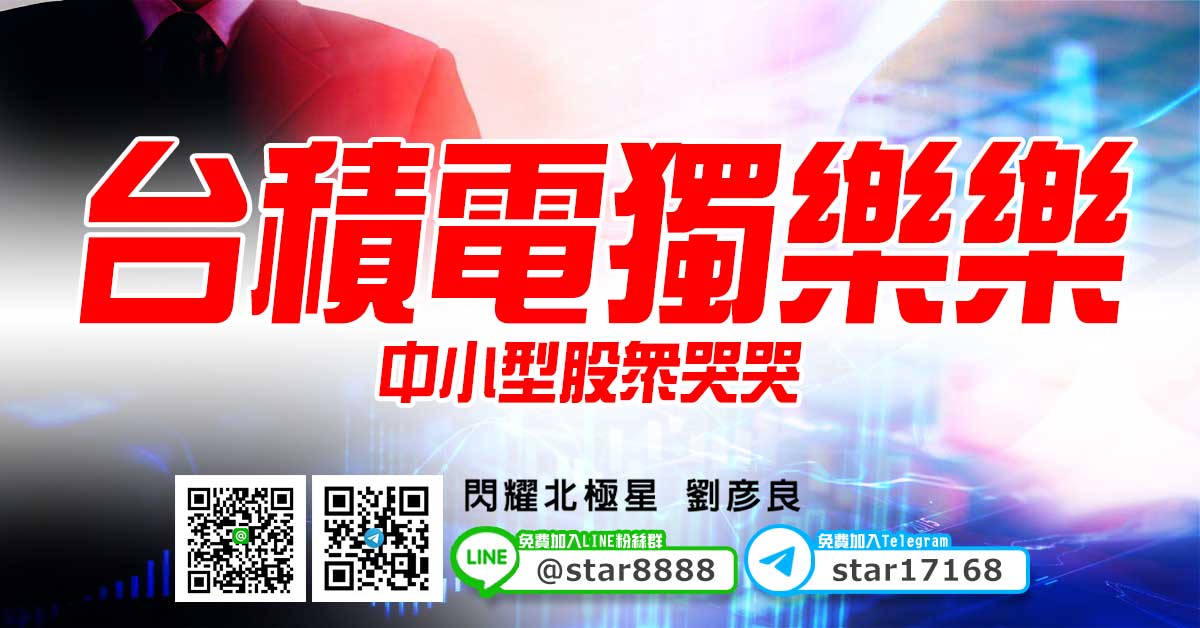 台積電獨樂樂，中小型股眾哭哭