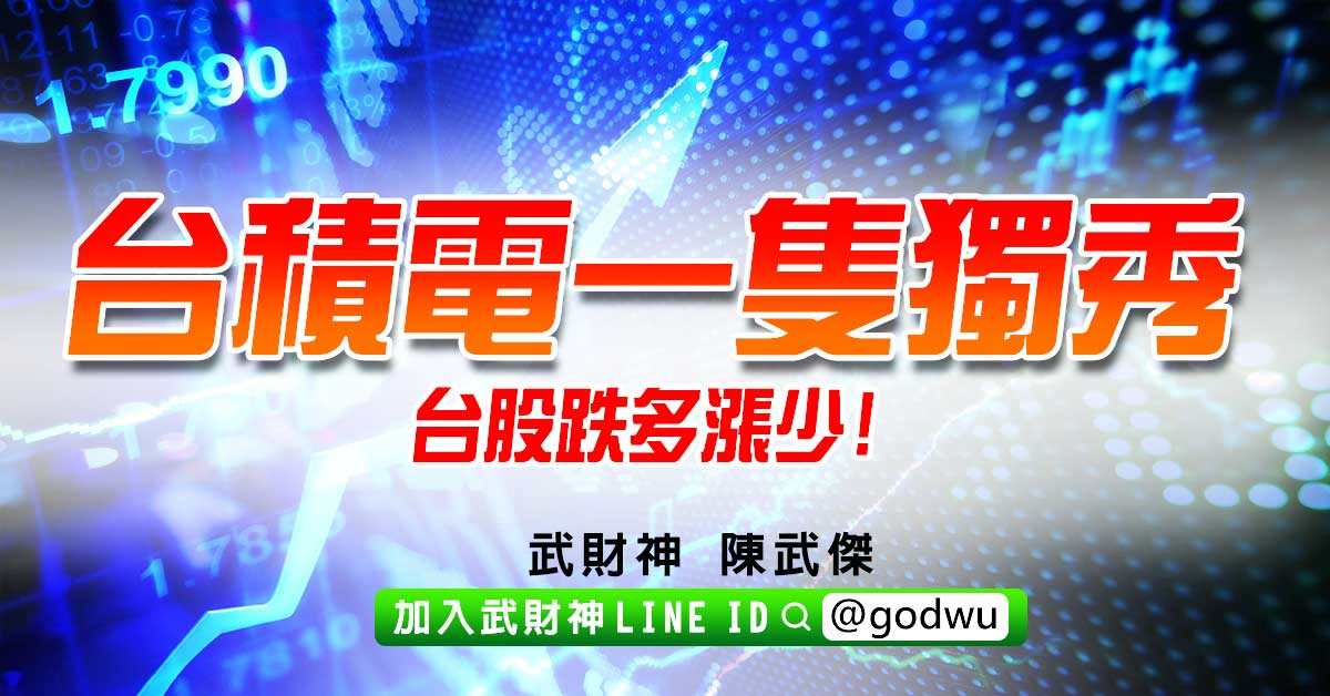 台積電一隻獨秀~台股跌多漲少! (圖)