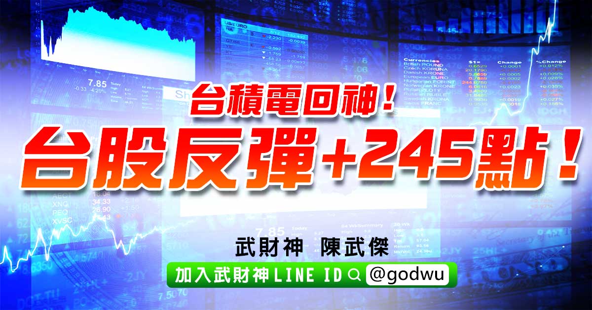 台積電回神!台股反彈+245點! (圖)