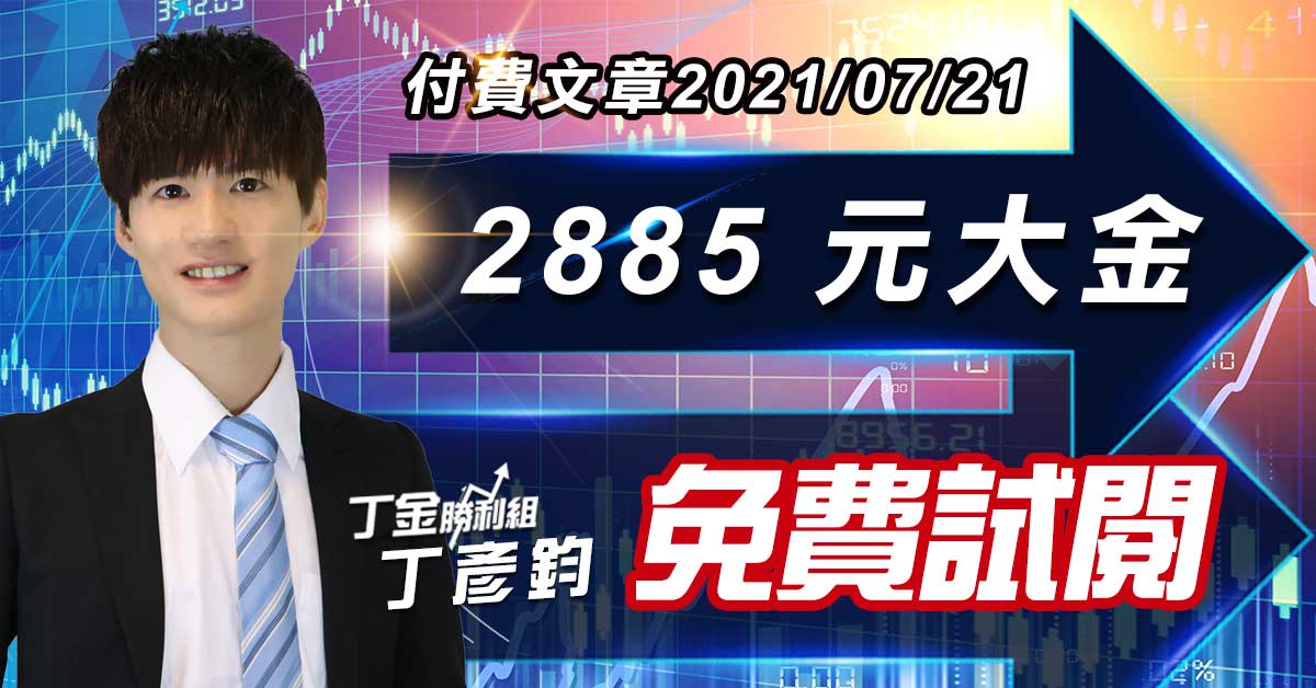 2885 元大金 (付費文章)免費試閱 (圖)