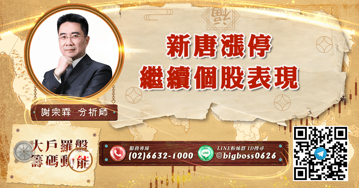 新唐漲停  繼續個股表現 (圖)