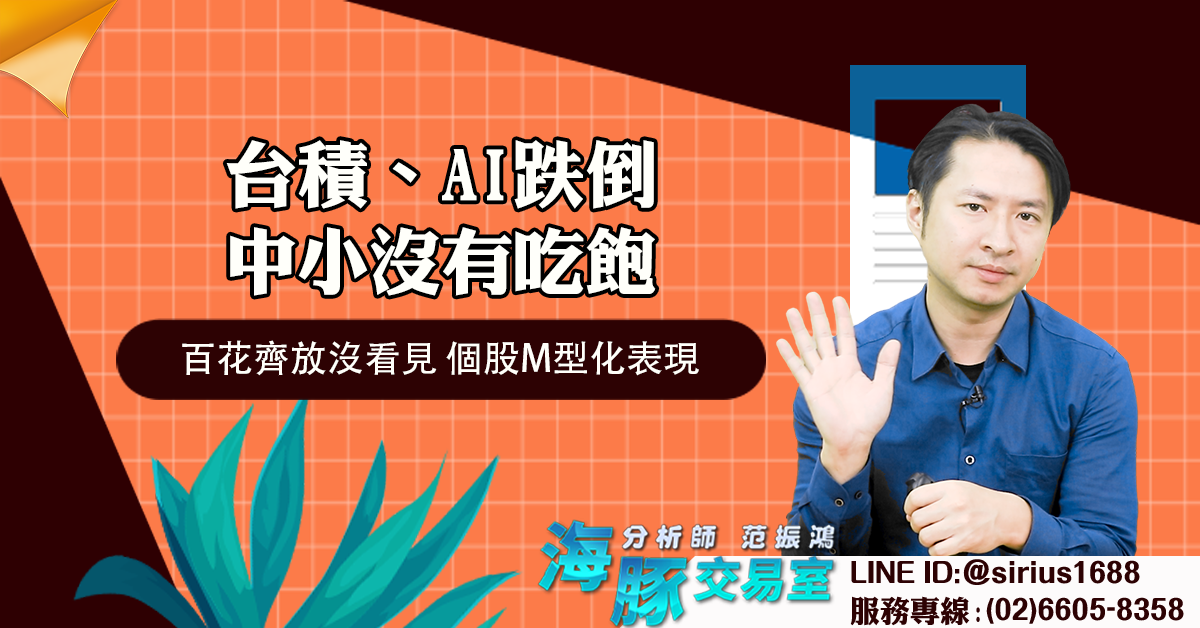 台積、AI跌倒，中小沒有吃飽 百花齊放沒看見，個股M型化表現 (圖)