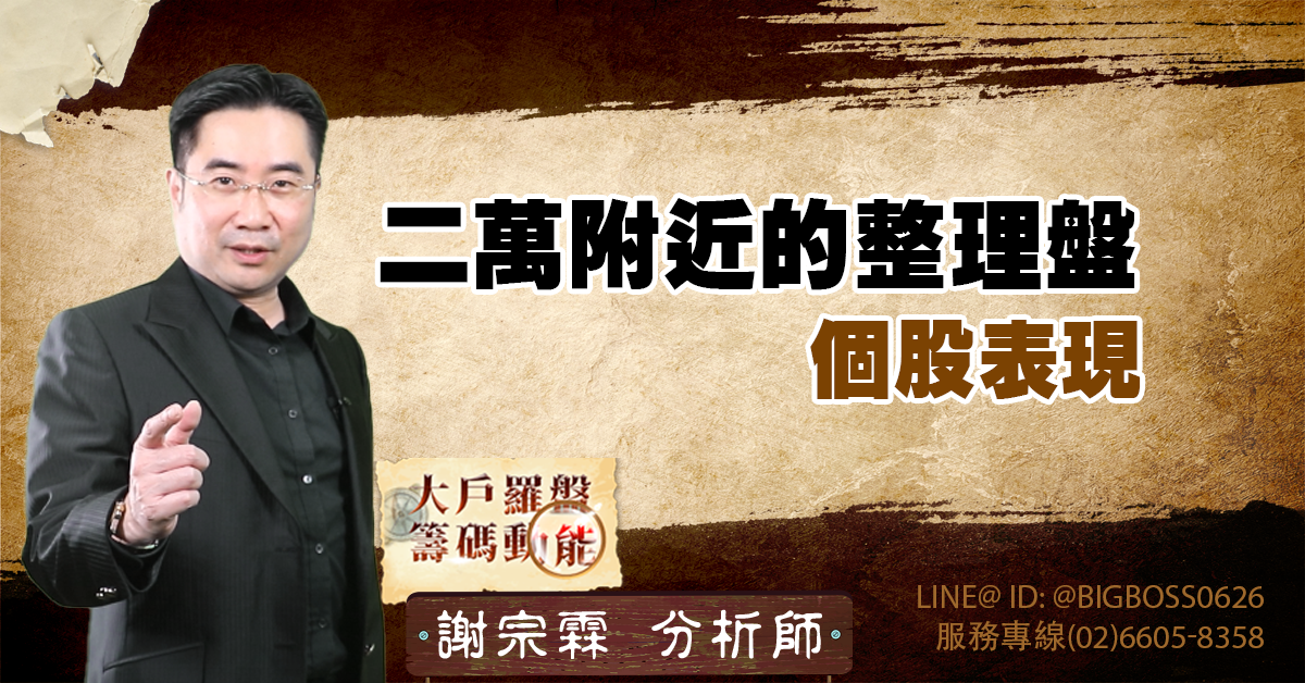 二萬附近的整理盤 個股表現 (圖)