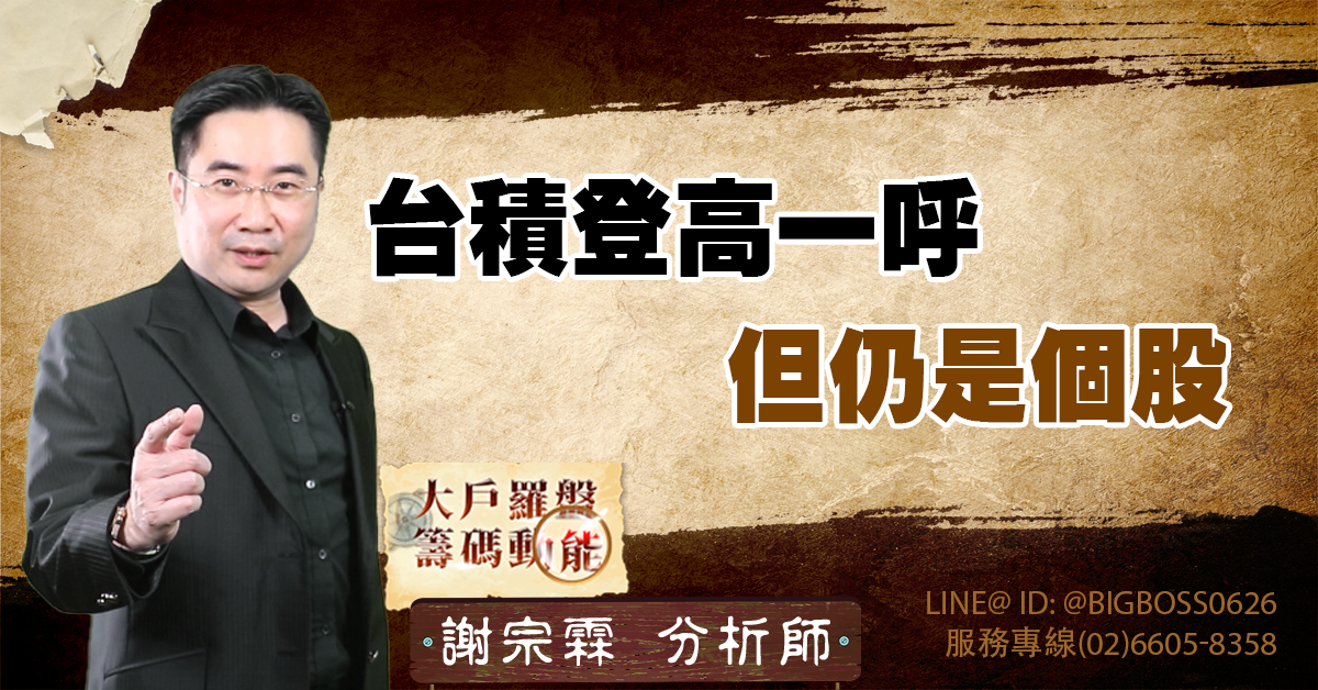 台積登高一呼 但仍是個股 (圖)
