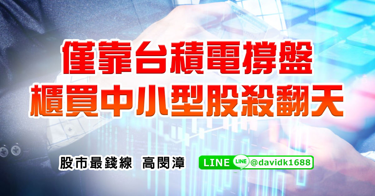 僅靠台積電撐盤，櫃買中小型股殺翻天
