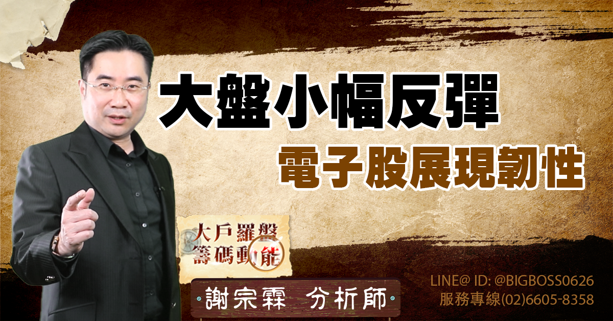 大盤小幅反彈,電子股展現韌性 (圖)