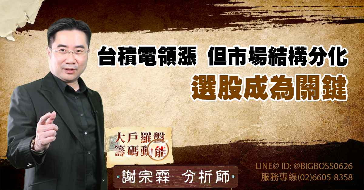 台積電領漲,但市場結構分化,選股成為關鍵 (圖)