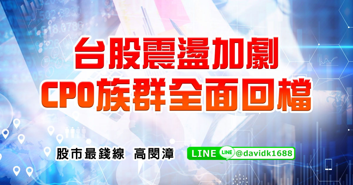 台股震盪加劇，CPO族群全面回檔