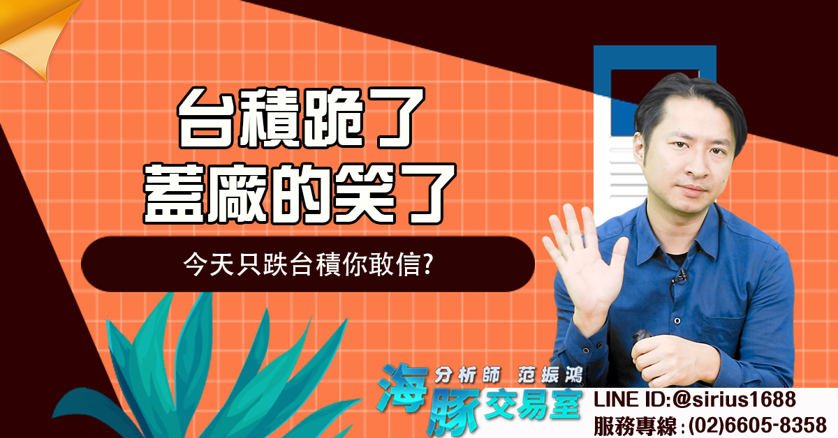 台積跪了,蓋廠的笑了 今天只跌台積你敢信? (圖)