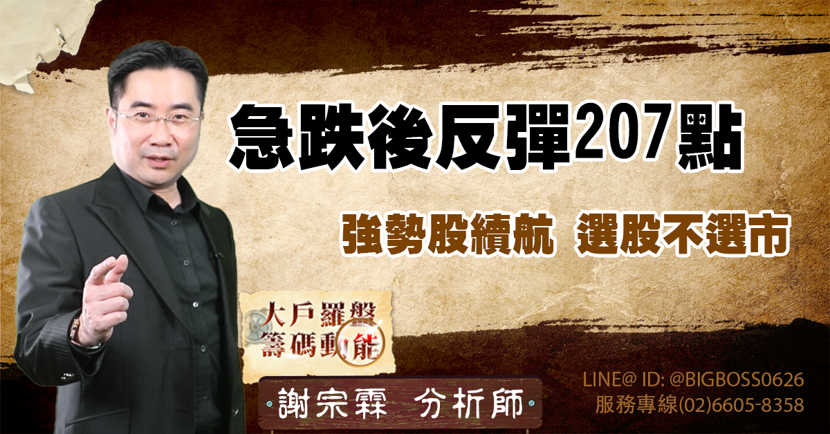 急跌後反彈 207 點,強勢股續航,選股不選市 (圖)