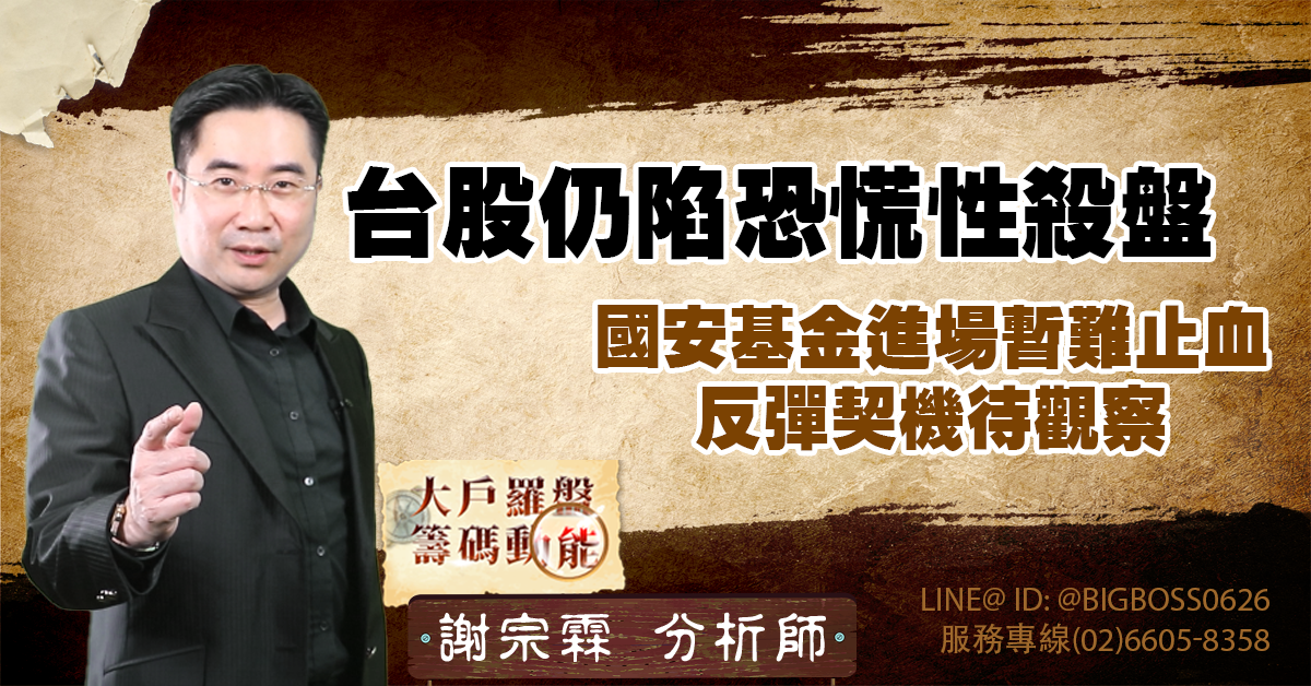 台股仍陷恐慌性殺盤,國安基金進場暫難止血 反彈契機待觀察 (圖)