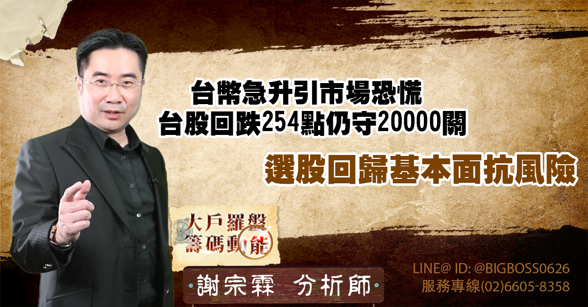 台幣急升引市場恐慌 台股回跌254點仍守20000關 選股回歸基本面抗風險 (圖)