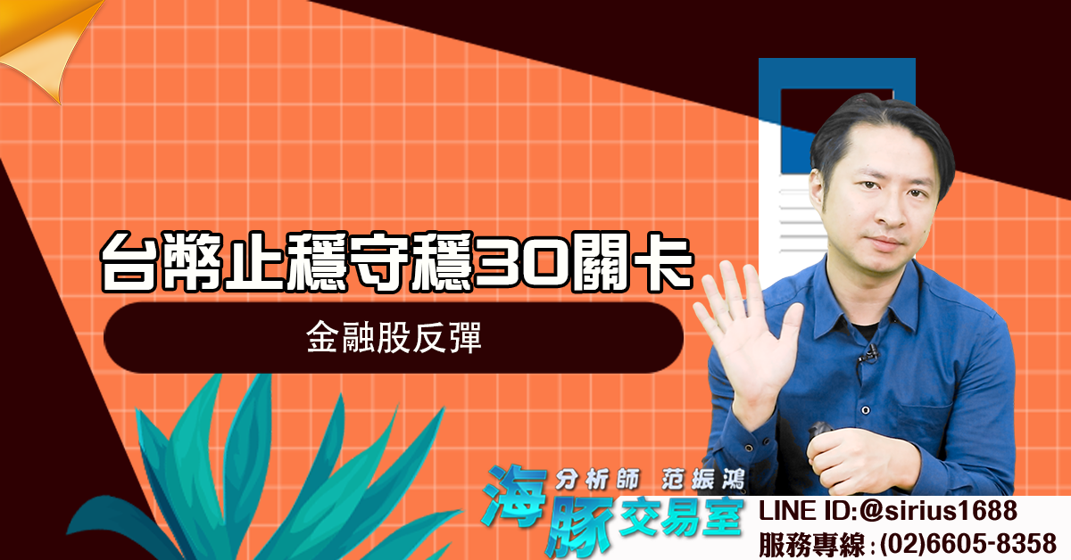 台幣止穩守穩30關卡 金融股反彈 (圖)