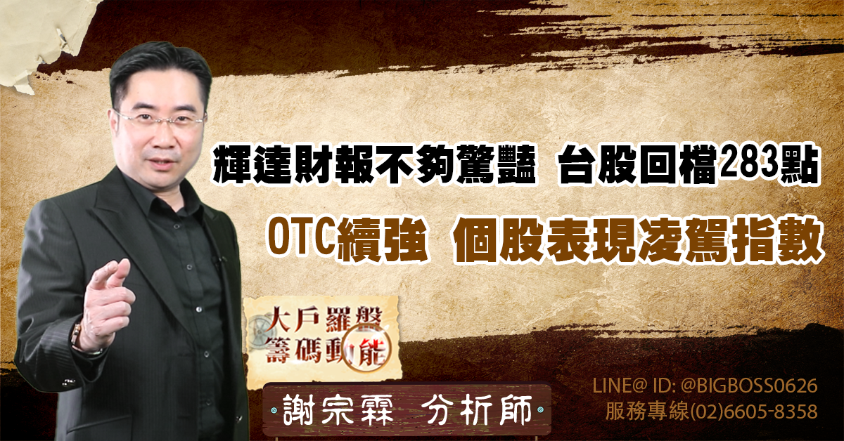 輝達財報不夠驚豔 台股回檔283點 OTC續強 個股表現凌駕指數 (圖)